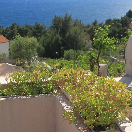 And With Parking Space Ivan Dolac, Hvar - 8734 게스트하우스 젤사