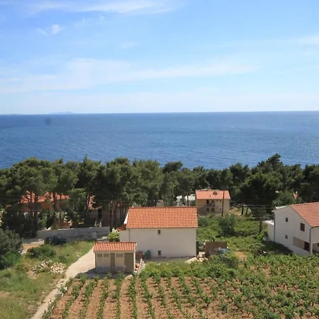 And With Parking Space Ivan Dolac, Hvar - 8734 게스트하우스 젤사